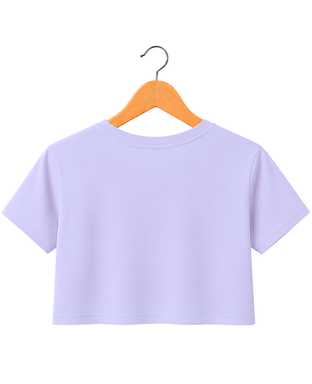 Wings Crop Top